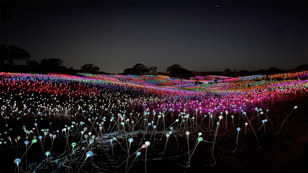 A New Field of Light Installation Will Bloom in Texas This Fall