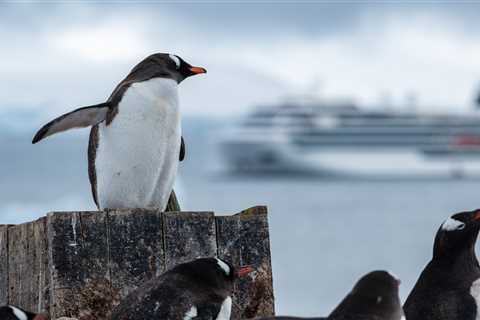 The 65-Day Cruise That Starts in Antarctica and Ends in Milwaukee