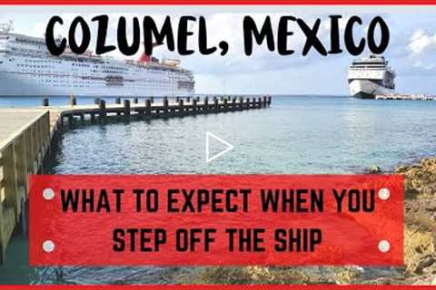 Cozumel Mexico Cruise Port Tour/Guide