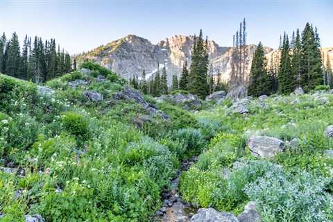 How to Travel on Budget in Alta, Utah
