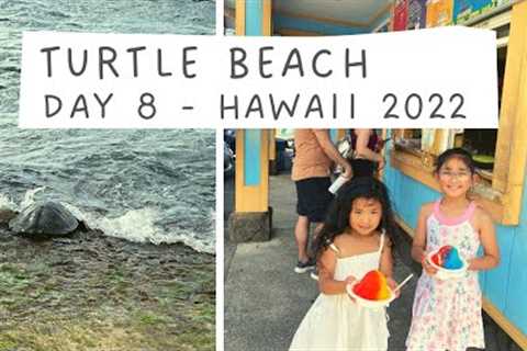 TURTLES AT LANIAKEA BEACH & WAIOLA SHAVE ICE | Day 8 - Hawaii 2022 Vlogs