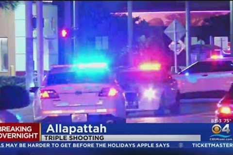 Breaking Overnight: Triple shooting, fatal crash and more