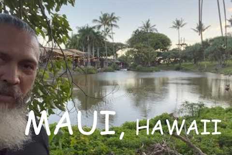 Things To Do While in Maui Hawaii Based on my Recent Trip | episode 1