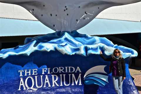 The Florida Aquarium – Afternoon for Kids