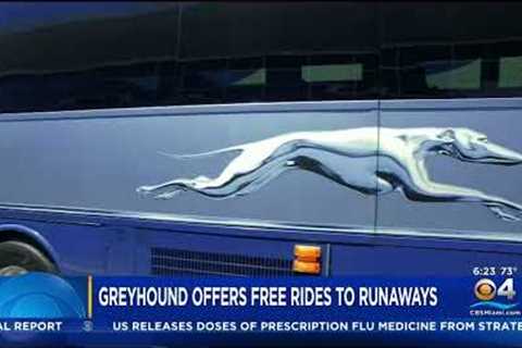 Greyhound's Home Free Program Offers Bus Rides For People In Need