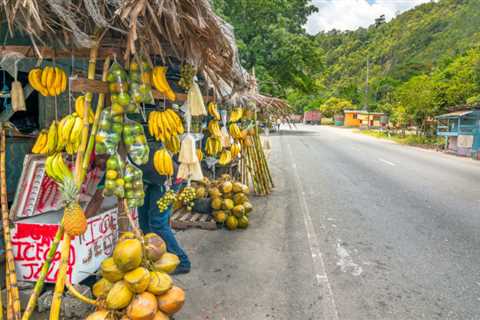 9 Key Things to Know About Renting a Car in Jamaica