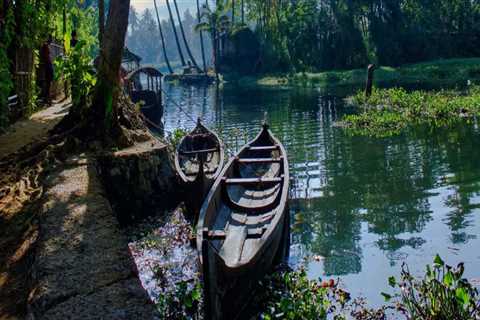 Explore the Exceptional Features of Kerala: A Guide to What Makes it So Famous