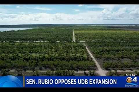 Sen. Marco Rubio Opposes Expansion Of Miami-Dade Urban Development Boundary