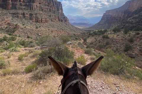 Bucket list horseback rides for every equestrian traveller