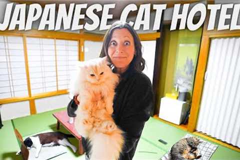 We Stayed at the World''s Only CAT HOTEL (not what we expected)