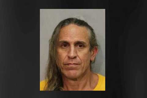 Mountain View man charged in Puna shooting