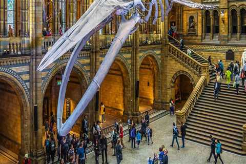 Exploring the Best Museums and Galleries in London, England