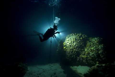 Fiji After Dark: One Diver’s Journey Into Night Diving