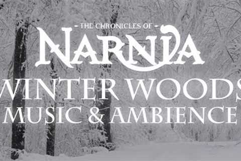 Chronicles of Narnia | Winter Woods Music & Ambience - Relaxing Music with Sounds of Winter