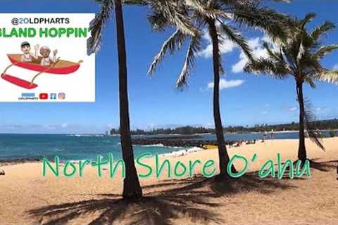 Hawaii North Shore - Ray''s Kiawe Broiled Chicken - Matsumoto Shave Ice