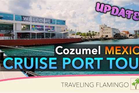 UPDATED What to do in Cozumel? Cozumel Cruise Port Tour