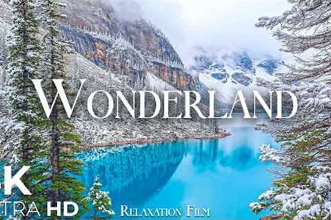 WONDERLAND 4K - Nature Relaxation Film - Peaceful Relaxing Music - 4k Video UltraHD