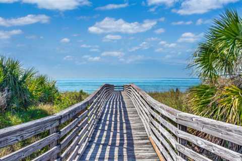 Discover 6 Perfect Florida State Parks
