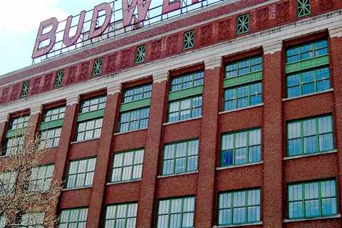 How long is the budweiser brewery tour?