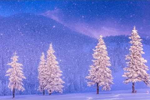 Beautiful  Christmas Music, Peaceful Piano Christmas  Music  Christmas Winter Woods  by Tim Janis