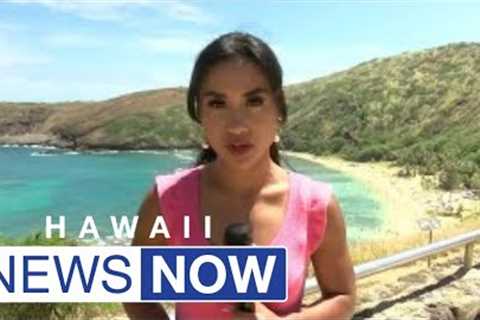Researchers warn nearly 90% of the beach at Hanauma Bay could be submerged by 2030
