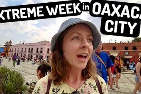 A Life-Changing Week in Oaxaca, Mexico!! (Shocking Spanish Immersion Retreat)