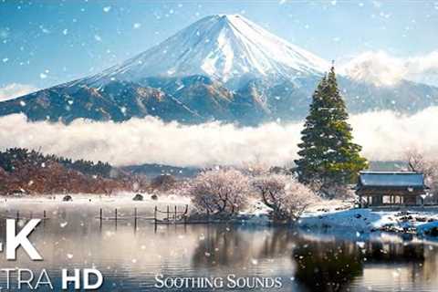Wonderland Winter 4K - Beautiful Relaxing Meditation Music - Nature Relaxation Film, Winter Ambience