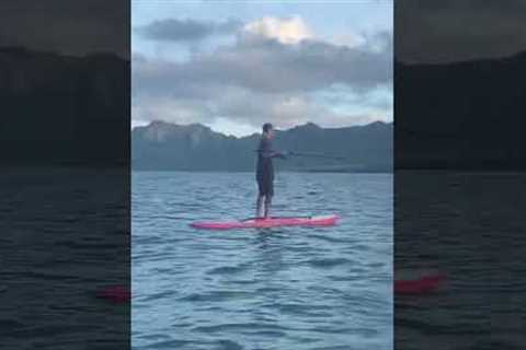 Fishing off my Paddle Board in Hawaii #design #beach #hawaiianisland #surf #fishing #standuppaddle
