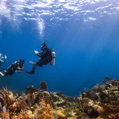 What’s the Difference Between Divemaster (DM) and Assistant Instructor (AI)?