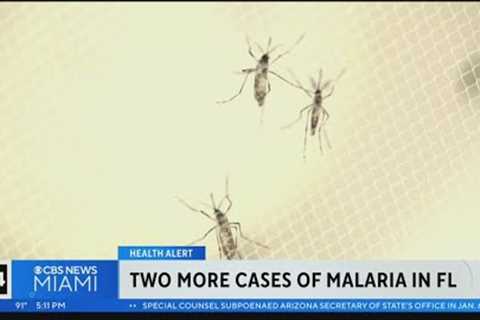 Malaria cases on the rise in Florida
