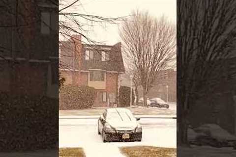 First Bit of Winter| New Jersey, USA
