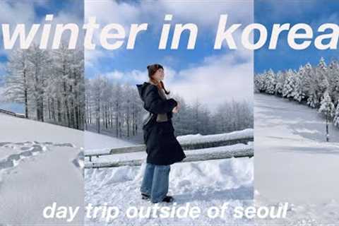 life in korea vlog 🐑 a day in the snowy korean countryside | winter outside of seoul