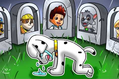 Paw Patrol Ultimate Rescue | Sorry My Friends - Don''t Leave Me Alone - Very Sad Story | Rainbow