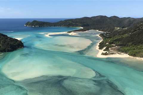 5 of the Best Dive Sites to Explore in New Zealand