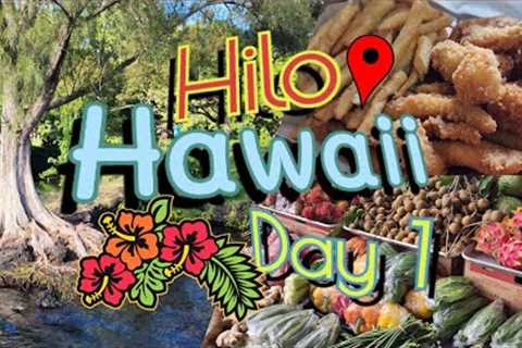 Big Island Vacation Vlog 2023 | Hilo Hawaii Day 1 | Carl Smith Beach, Farmers Market and MORE!