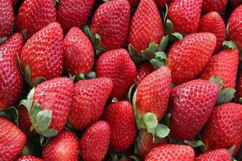Experience the Fun and Learning at the Cape Coral Strawberry Fest