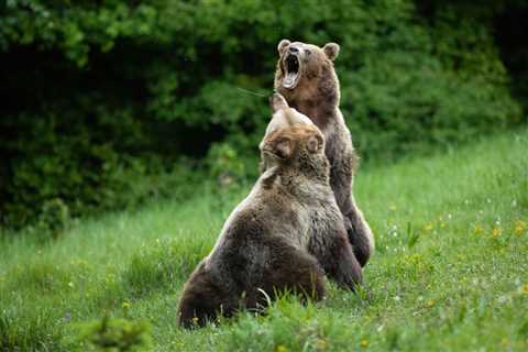 10 Most Dangerous National Parks in America