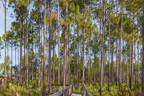 Exploring Educational Sites and Trails in Panama City, Florida