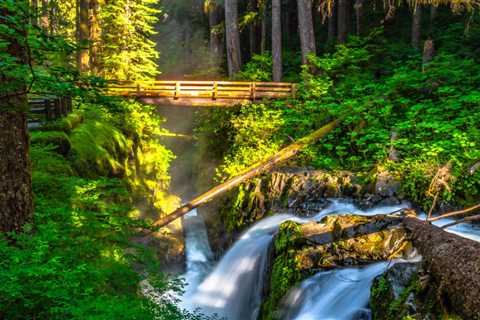 Take a Hike in the Olympic National Park