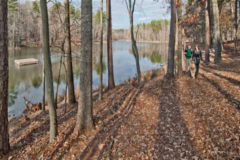 Discovering York County, SC: Free Tours and Outdoor Adventures