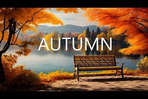 Enchanting Autumn Forests with Beautiful Piano Music🍁8K Autumn Ambience & Fall Foliage
