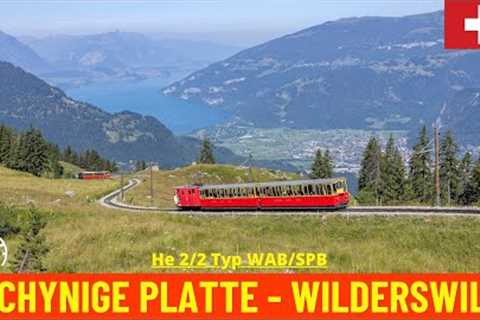 Cab Ride Schynige Platte - Wilderswil (Schynige Platte Railway, Switzerland) train driver''s view 4K