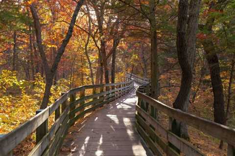This Is The No. 1 Hidden Gem In Illinois To Enjoy Fall Colors In 2023