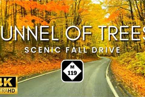 WORLD FAMOUS Tunnel Of Trees Fall Color Tour | Harbor Springs Michigan Scenic Drive | Rain Sounds