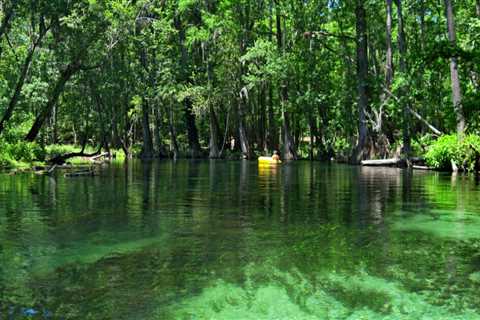 Florida's Top 5 Most Loved State Parks for Camping