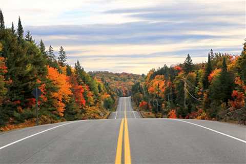 Ontario’s TOP 3 Scenic Fall Road Trips For Spectacular Foliage