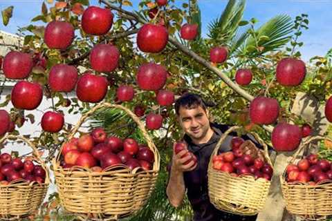 HARVESTING MALUS NIEDZWETZKYANA IN THE VILLAGE! GRANDMA COOKING APPLE WITH BEEF | APPLE JAM