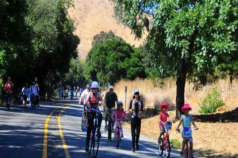 Exploring Orienteering Trails in Alameda County Parks