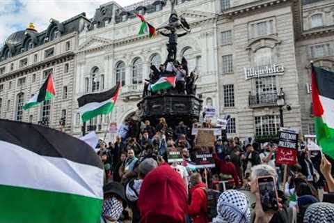 ‘Enormous mistake’: Douglas Murray’s warning over planned pro-Palestine protest in London