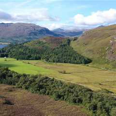 New partnership exemplifies rewilding’s broad coalition in the Affric Highlands